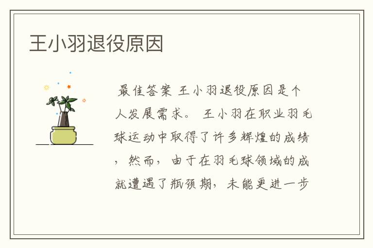 王小羽退役原因