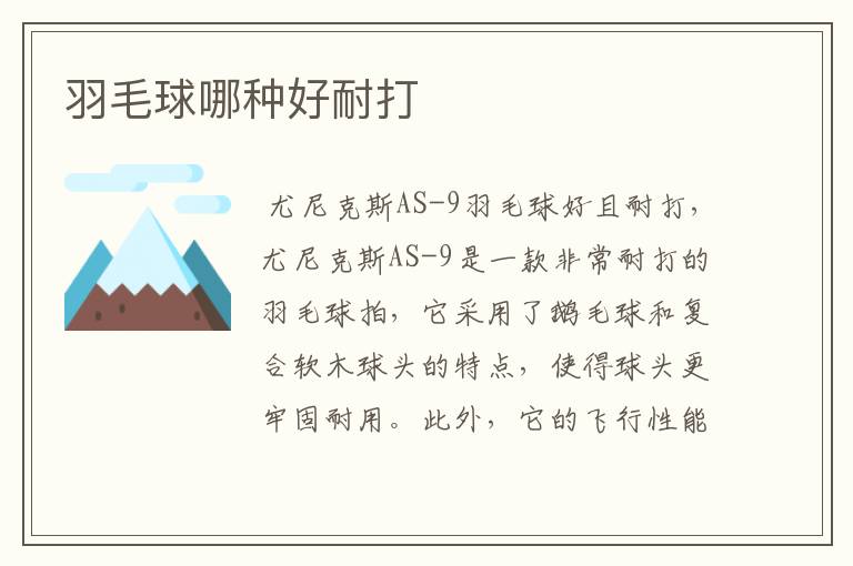 羽毛球哪种好耐打