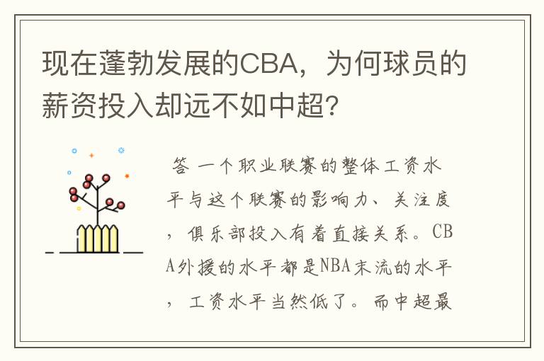 现在蓬勃发展的CBA，为何球员的薪资投入却远不如中超?