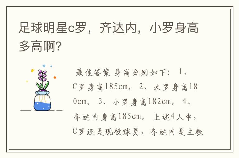 足球明星c罗，齐达内，小罗身高多高啊？