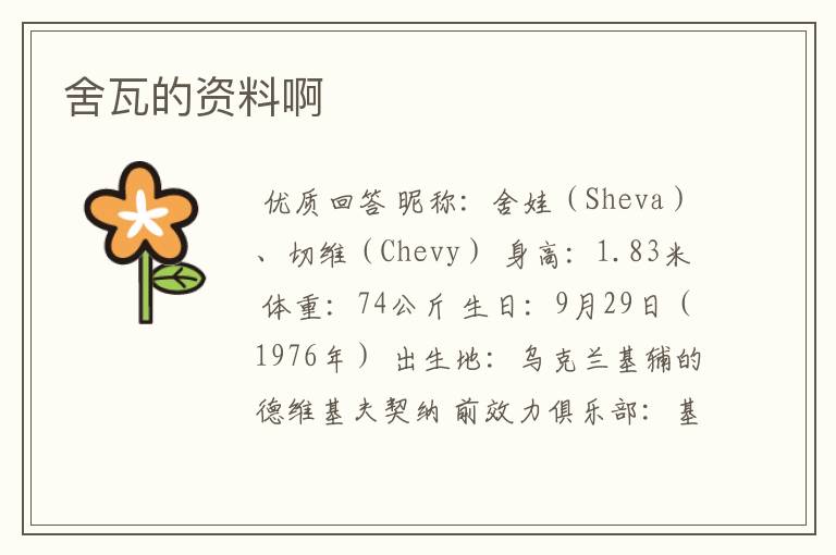 舍瓦的资料啊