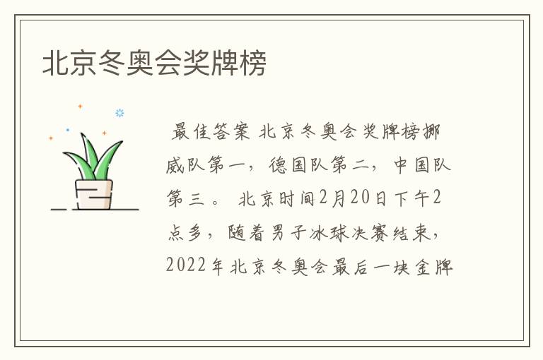 北京冬奥会奖牌榜