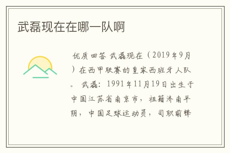 武磊现在在哪一队啊