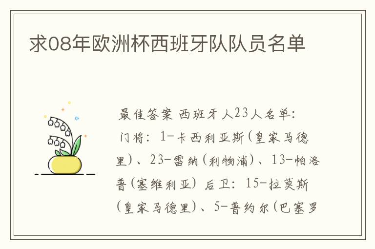求08年欧洲杯西班牙队队员名单