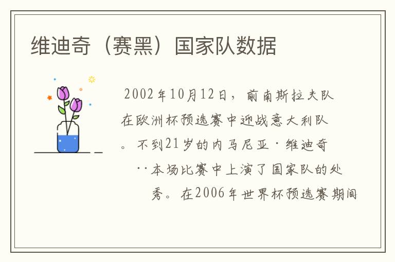 维迪奇(赛黑)国家队数据
