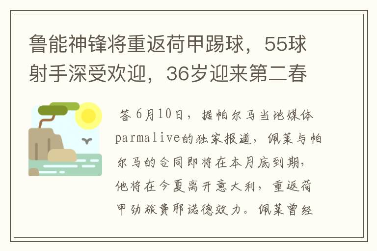 鲁能神锋将重返荷甲踢球,55球射手深受欢迎,36岁迎来第二春
