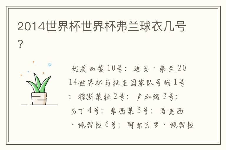 2014世界杯世界杯弗兰球衣几号?