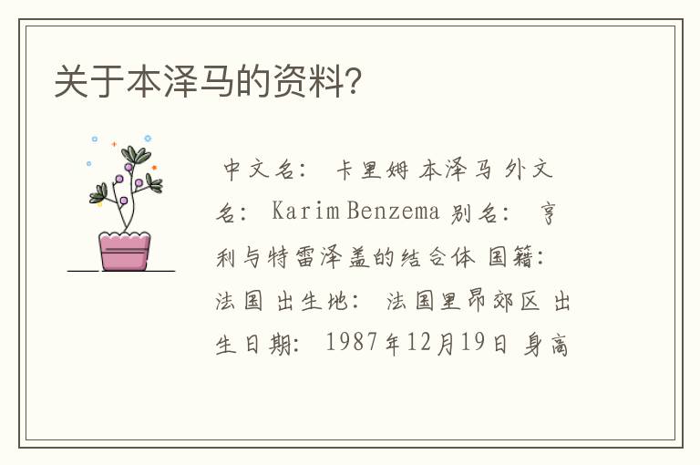 关于本泽马的资料?