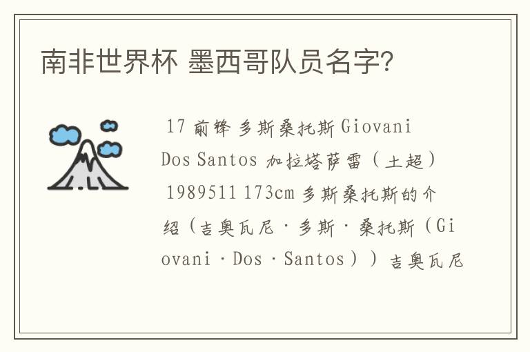 南非世界杯 墨西哥队员名字?