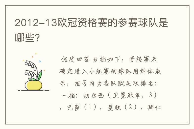 2012-13欧冠资格赛的参赛球队是哪些?