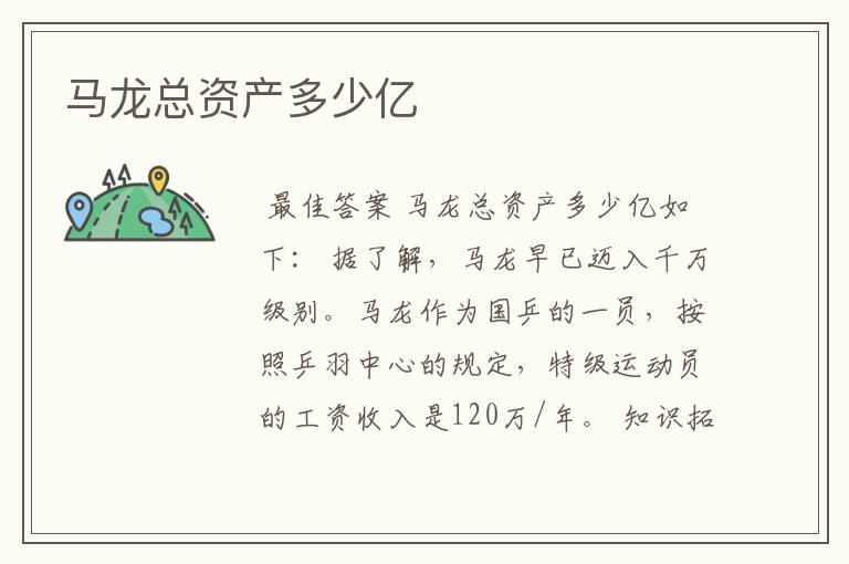 马龙总资产多少亿