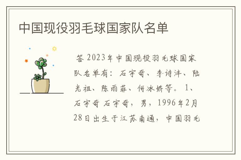 中国现役羽毛球国家队名单