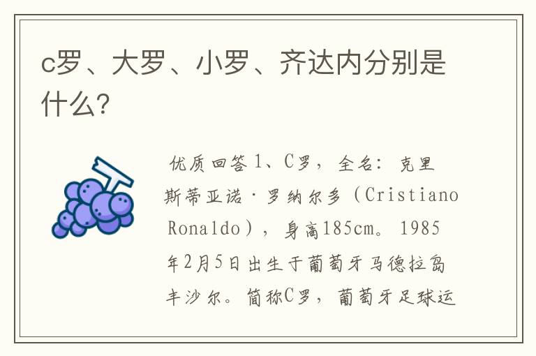 c罗、大罗、小罗、齐达内分别是什么?