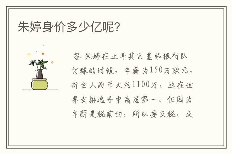 朱婷身价多少亿呢?