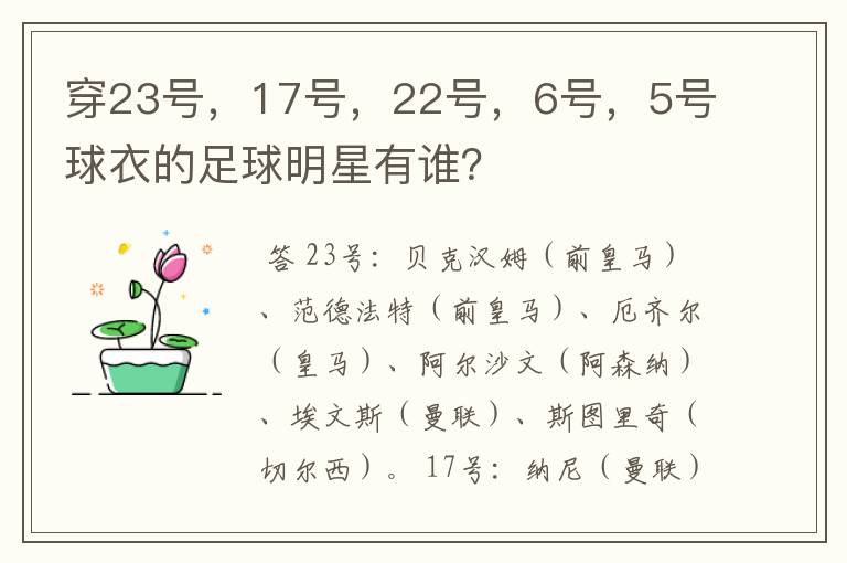 穿23号,17号,22号,6号,5号球衣的足球明星有谁?