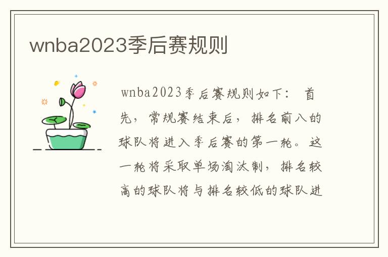 wnba2023季后赛规则