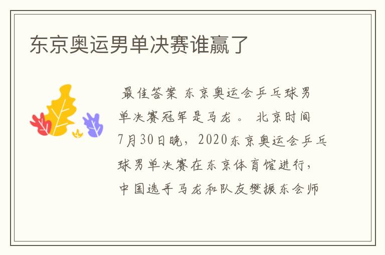 东京奥运男单决赛谁赢了