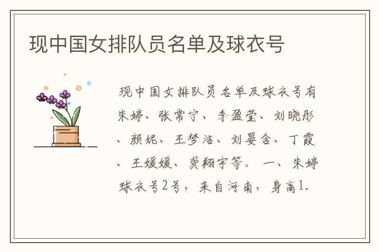 现中国女排队员名单及球衣号