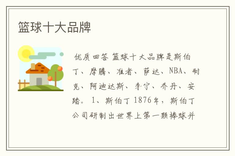 篮球十大品牌