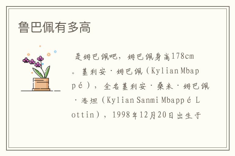 鲁巴佩有多高