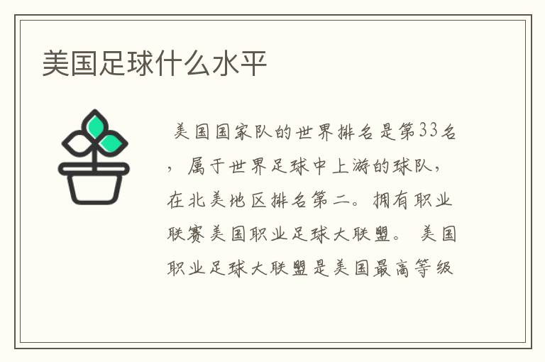 美国足球什么水平