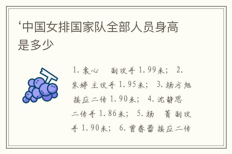 ‘中国女排国家队全部人员身高是多少