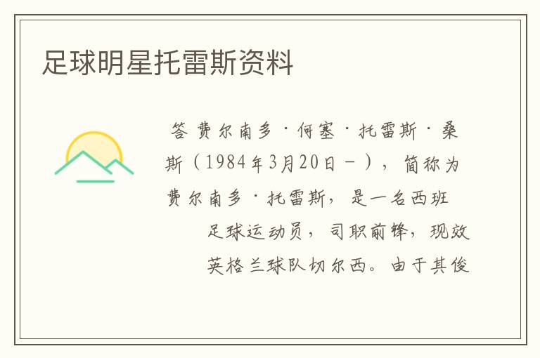 足球明星托雷斯资料