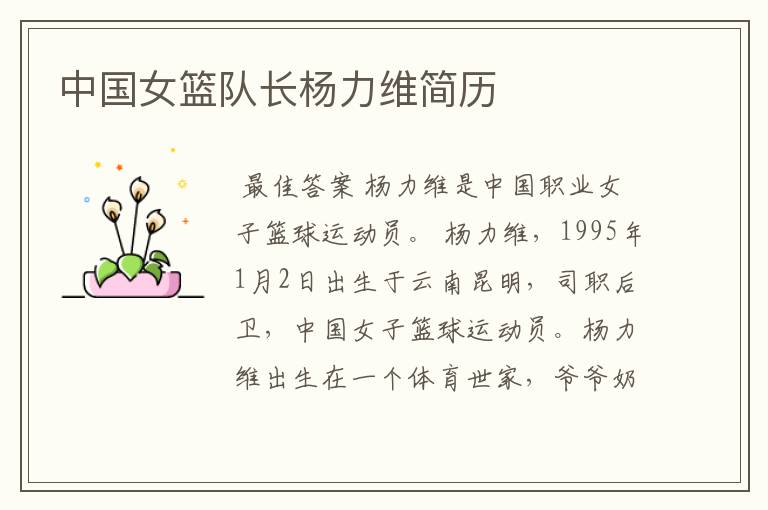 中国女篮队长杨力维简历