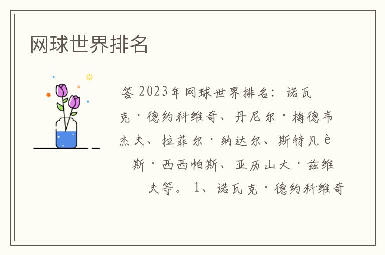 网球世界排名