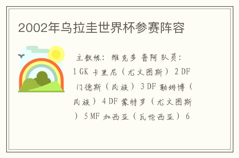 2002年乌拉圭世界杯参赛阵容