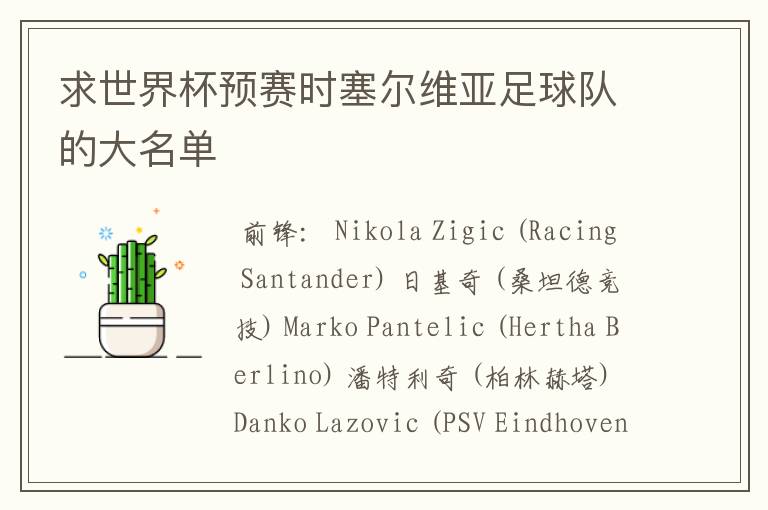 求世界杯预赛时塞尔维亚足球队的大名单