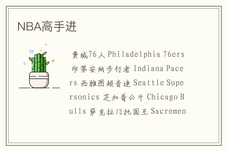 NBA高手进