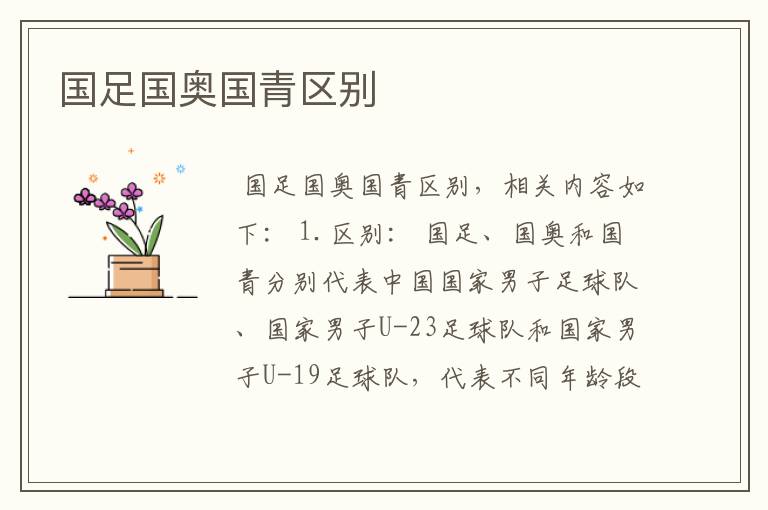 国足国奥国青区别