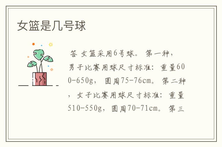女篮是几号球