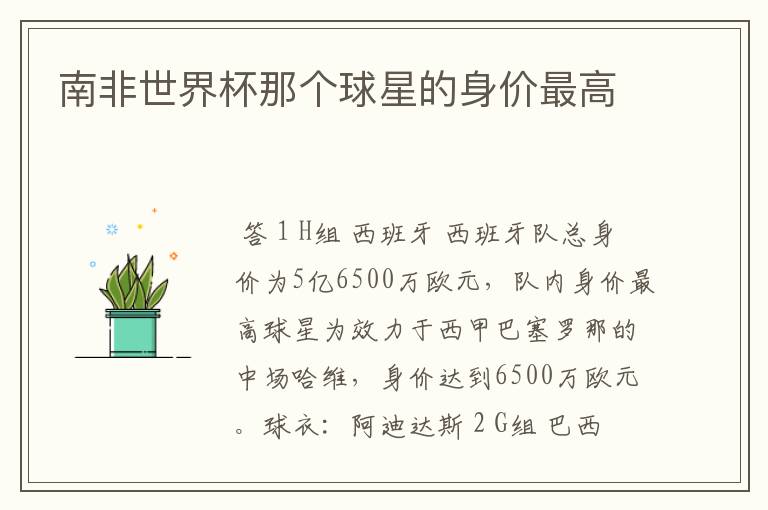 南非世界杯那个球星的身价最高