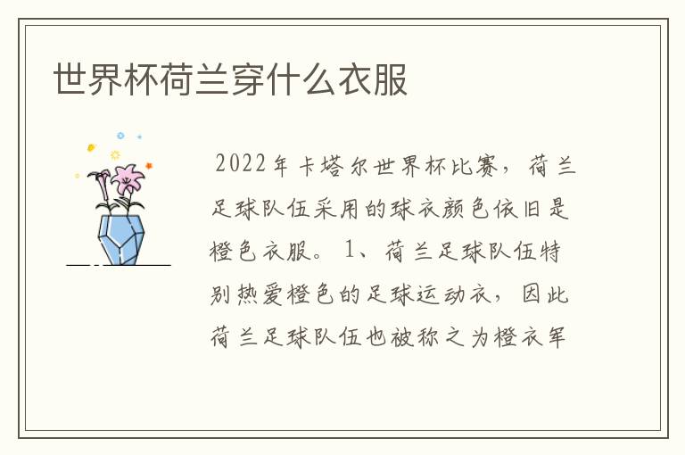 世界杯荷兰穿什么衣服
