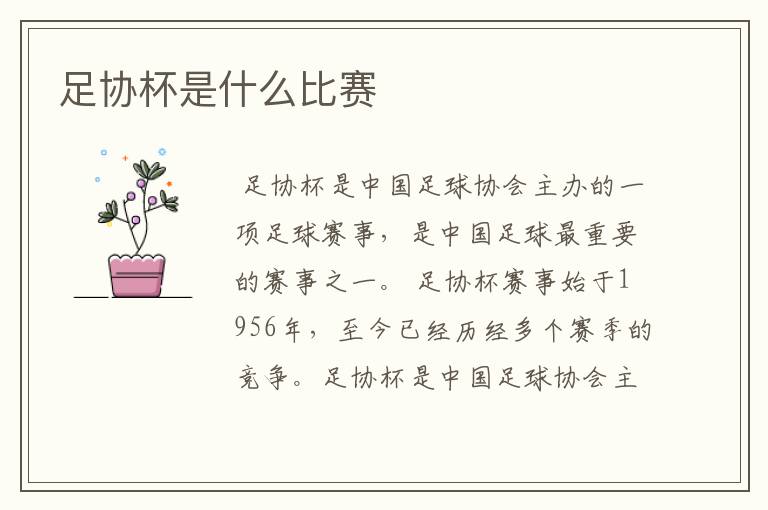 足协杯是什么比赛
