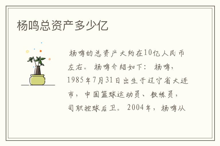 杨鸣总资产多少亿
