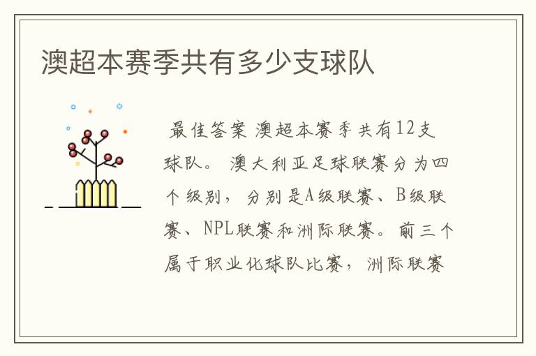 澳超本赛季共有多少支球队