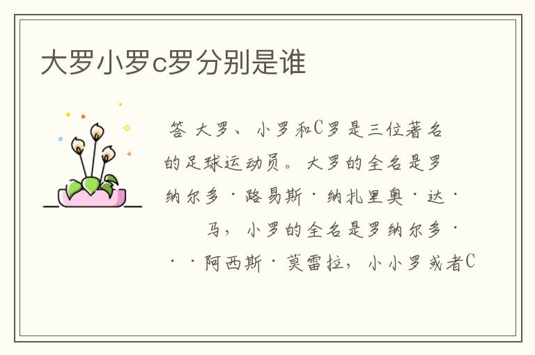 大罗小罗c罗分别是谁