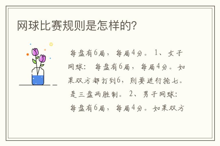 网球比赛规则是怎样的?