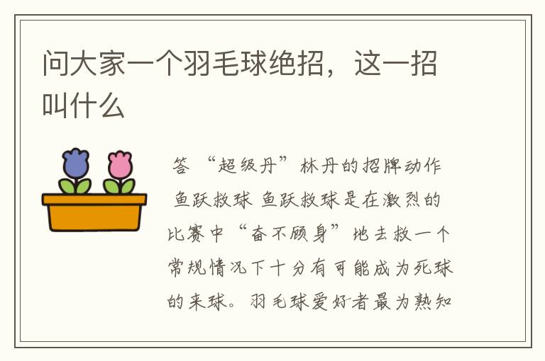 问大家一个羽毛球绝招,这一招叫什么