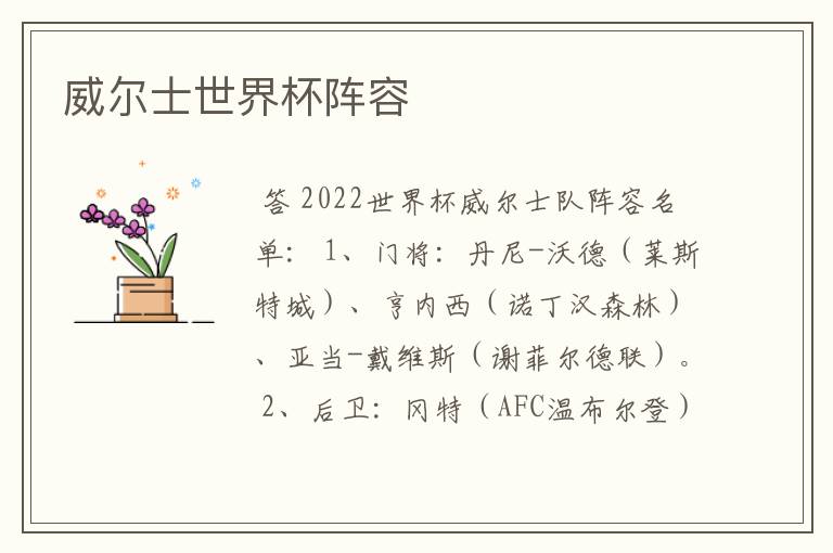 威尔士世界杯阵容