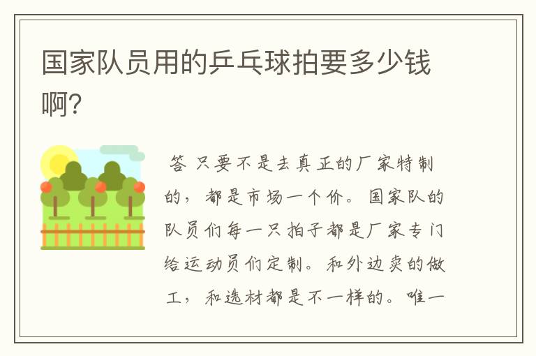 国家队员用的乒乓球拍要多少钱啊?