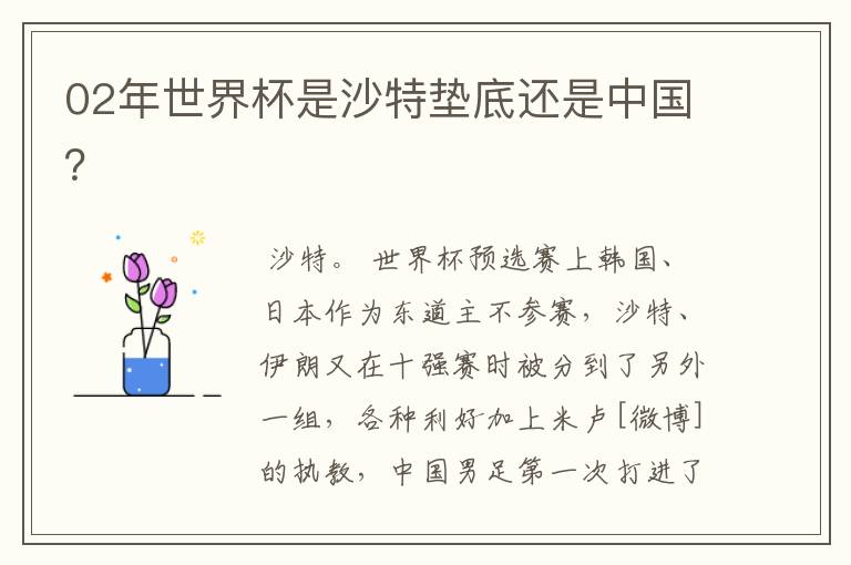 02年世界杯是沙特垫底还是中国？
