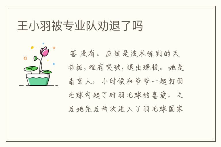 王小羽被专业队劝退了吗