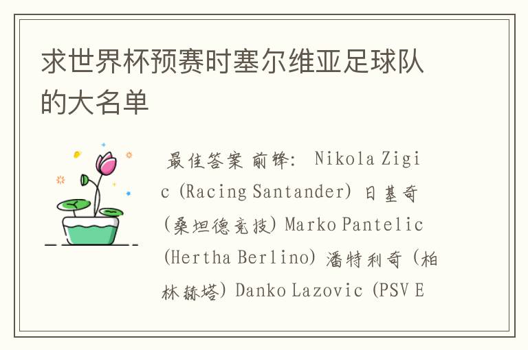 求世界杯预赛时塞尔维亚足球队的大名单