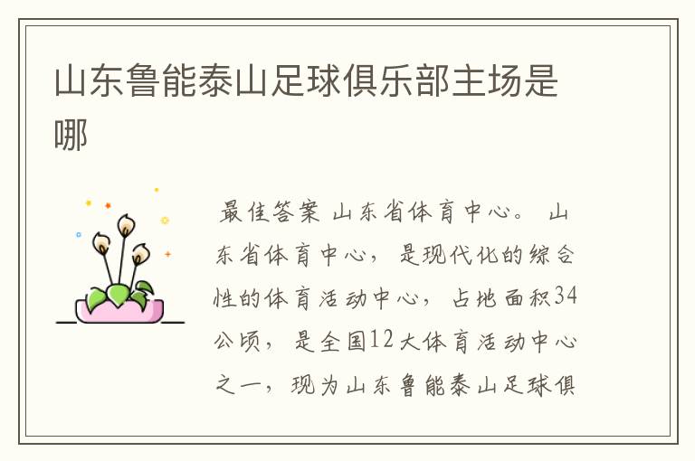 山东鲁能泰山足球俱乐部主场是哪