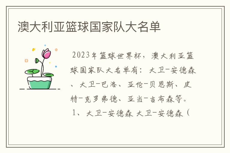 澳大利亚篮球国家队大名单