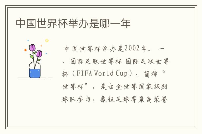 中国世界杯举办是哪一年